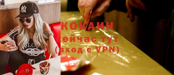 тгк Арсеньев
