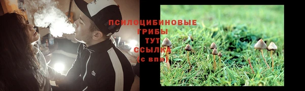 тгк Арсеньев